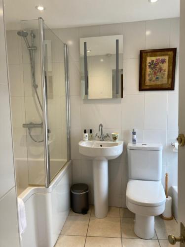 uma casa de banho com um WC, um lavatório e um chuveiro em Hotspur House em Allendale Town