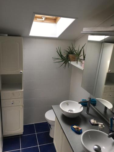 a bathroom with a sink and a toilet at Haritza in Anglet