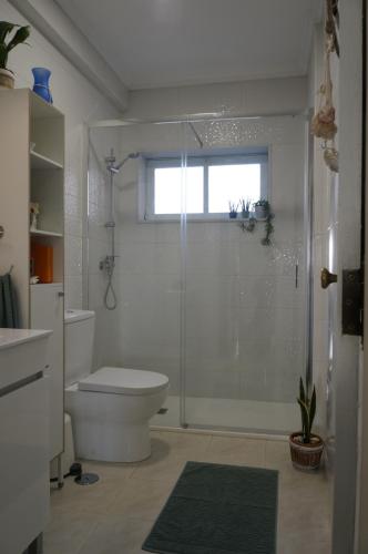 uma casa de banho com um WC e uma cabina de duche em vidro. em Beach Front Apartment em Gafanha da Nazaré