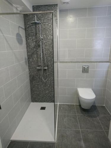 a bathroom with a shower and a toilet at Soleil Corse in Saint-Florent