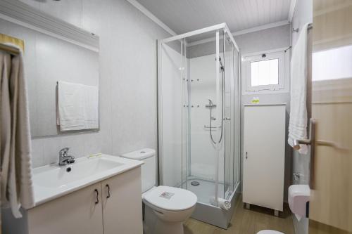 a bathroom with a toilet and a shower and a sink at Urban Art by Campigir in Peniche