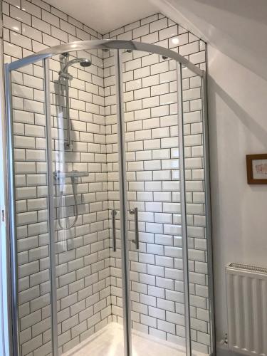 a shower with a glass door in a bathroom at The Bed in a Shed in Donegal