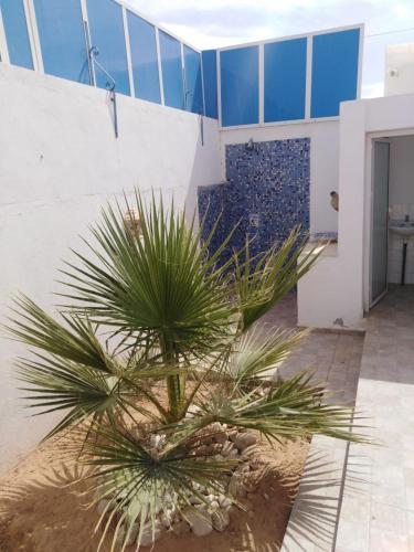 a palm tree in front of a building at Maison typiques (houche) avec piscine in Houmt Souk