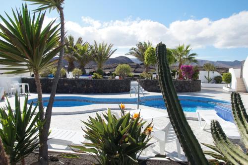 a resort with a pool and palm trees at Apartments Casa Blanca in Charco del Palo