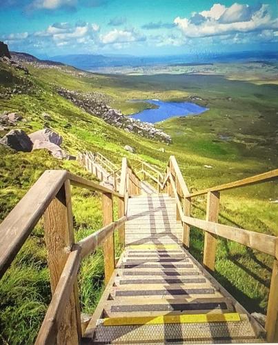 a wooden staircase leading up a hill with a view at Ashwoods House in Enniskillen