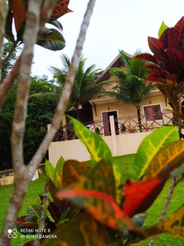 Taman di luar Guaramiranga-ce Chalé do Rei