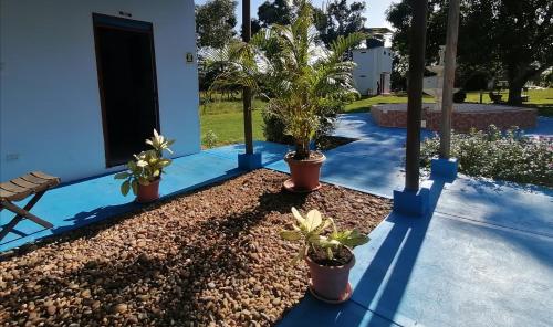 a patio with potted plants in front of a house at Hotel campestre la Maria in Villavicencio