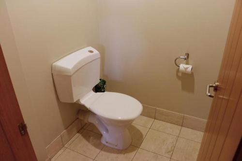a bathroom with a white toilet in a room at Lakefront Apartments,18 LAKE ESPLANADE ROAD in Queenstown