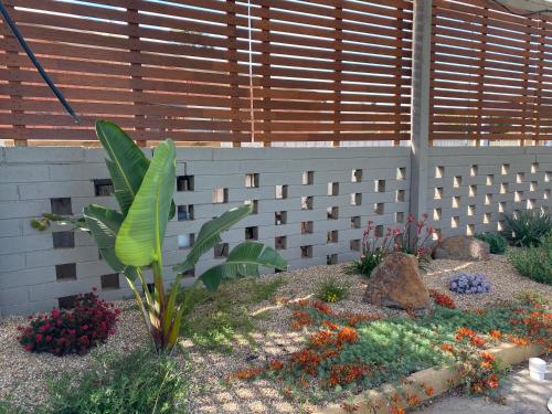 a garden with a fence and a plant at Cobram Colonial Motor Inn in Cobram