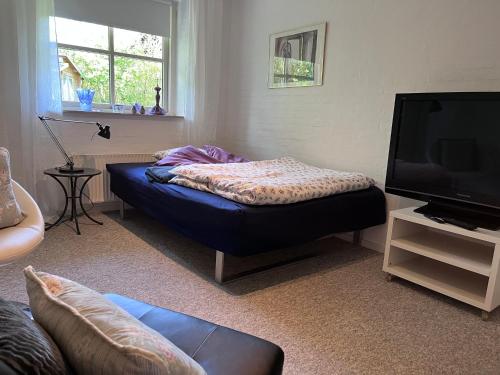 a living room with a couch and a tv at Kørestolsvenligt dbl. vær. in Nykøbing Mors