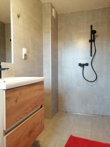 a bathroom with a shower and a sink at Gościniec nad potokiem in Jurgów