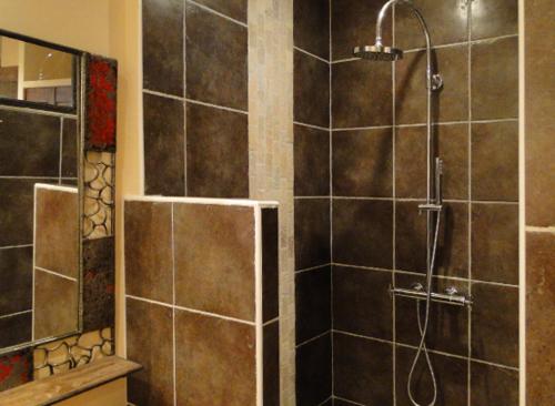 La salle de bains est pourvue d'une douche et de carrelage brun. dans l'établissement Tomettes, à Avignon