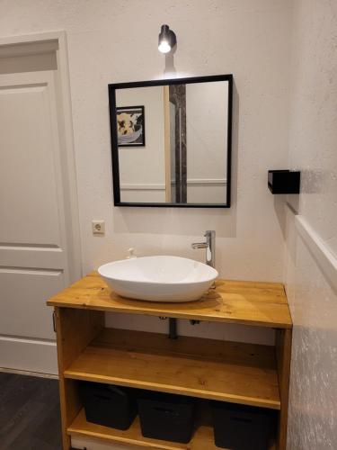 a bathroom with a sink and a mirror on a counter at De Varkensstal in De Heurne