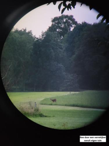 a view of a green field with a horse in the distance at De Varkensstal in De Heurne