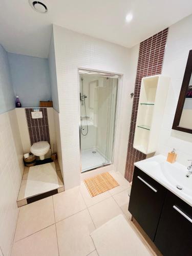 une salle de bain avec une douche, des toilettes et un lavabo dans l'établissement Villa Bahia - bas de villa en pleine nature !, à Saint-Mitre-les-Remparts