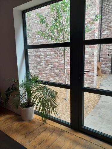 a room with a window with a potted plant at The Eden Warehouse - Pink Apartment (sleeps 4) in Southport