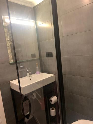 イスタンブールにあるヴォラーレ アパート ホテルズのバスルーム(シンク、鏡付きシャワー付)