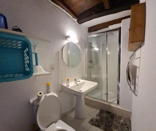 une salle de bain avec toilettes, lavabo et douche dans l'établissement Maison de Vacances Renno, à Renno