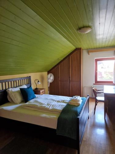 a bedroom with a large bed with a green ceiling at Krka River Lodge in Krka