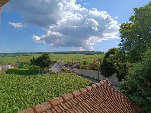 una vista desde el techo de una casa de una granja en Gîte indépendant Diz'enreves au cœur des vignes, en Dizy