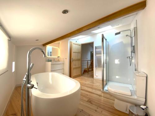 ein Bad mit einer Badewanne, einer Dusche und einem WC in der Unterkunft Agréable maison au centre historique de Foix avec garage in Foix