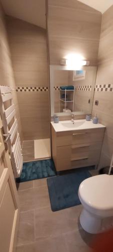 une salle de bain avec toilettes, lavabo et douche dans l'établissement Gîte le jardin d eau, à Lamothe-Montravel