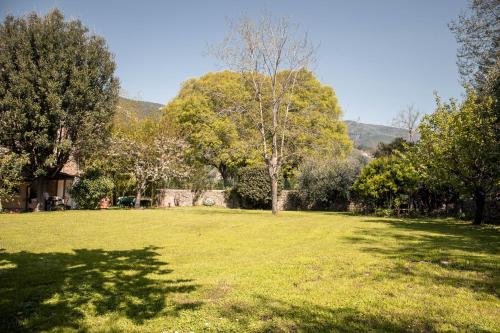 a large grass field with trees and a house at Social Garden in Calci