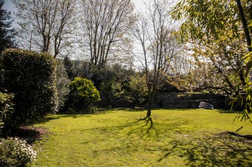 un jardin avec un arbre au milieu d'une cour dans l'établissement Social Garden, à Calci