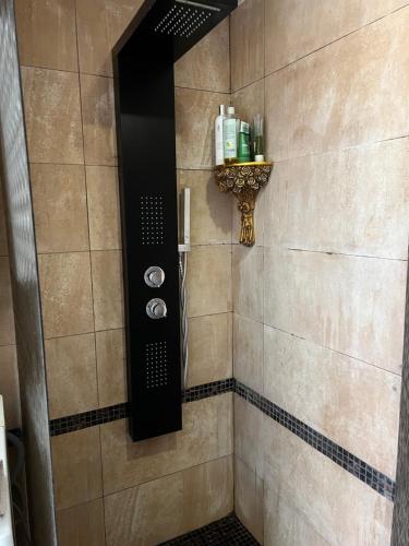 ein Bad mit einer Dusche und einer schwarzen Tür in der Unterkunft Cosy and peaceful apartment in Kaunas