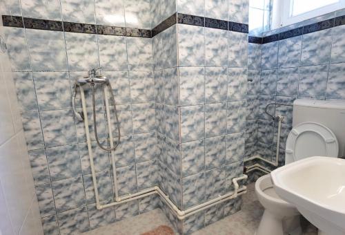 a bathroom with a shower and a toilet and a sink at Casa Tatiana Eforie Nord in Eforie Nord