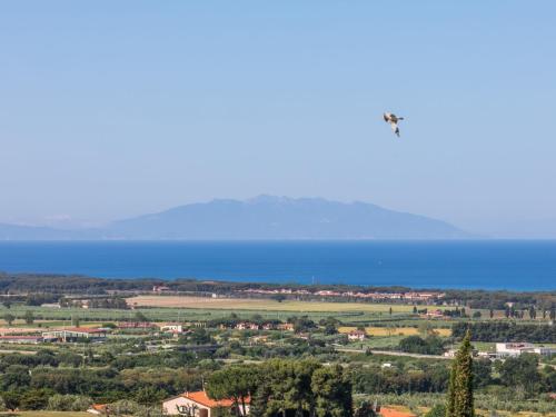 a bird flying in the sky over a city at Holiday Home Il Corbezzolo-2 by Interhome in San Vincenzo