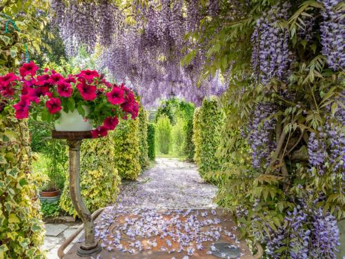 einen Tunnel mit Glyzinien und Blumen in einem Garten in der Unterkunft Holiday Home Casa Margherita by Interhome in Asti