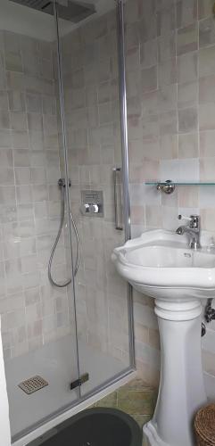 a bathroom with a shower and a sink at Giardino sul Lago SPA Jacuzzi in Castel Gandolfo