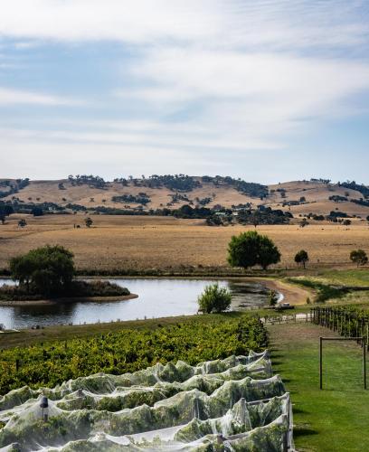 a river in the middle of a field at Cleveland Estate in Lancefield