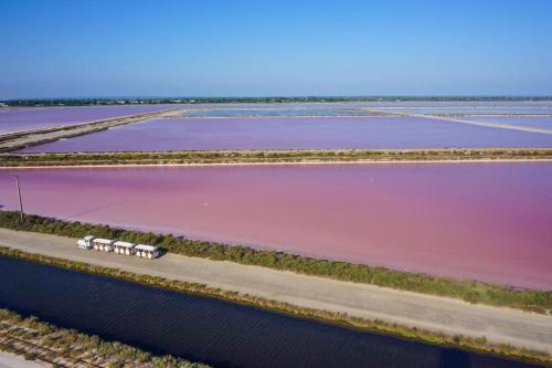 an aerial view of a lake with pink water at Chambre à 500 m des remparts in Aigues-Mortes