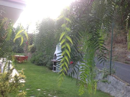 einen Garten mit einer Bank und einem Baum in der Unterkunft Agriturismo da Luì in Bordighera