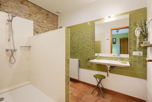 La salle de bains est pourvue d'un lavabo et d'une douche. dans l'établissement Mas Ribas Turismo Rural, à Montiró