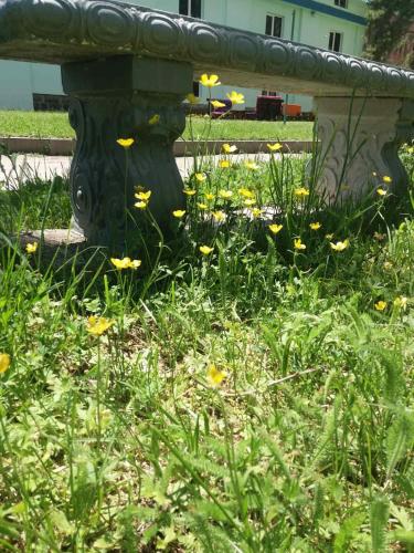 a bench in the middle of a field of flowers at N&R Rest House in Tsaghkadzor