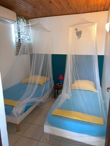 a bedroom with two beds with mosquito nets at Chez Marie André et Jeanne in Grande Anse