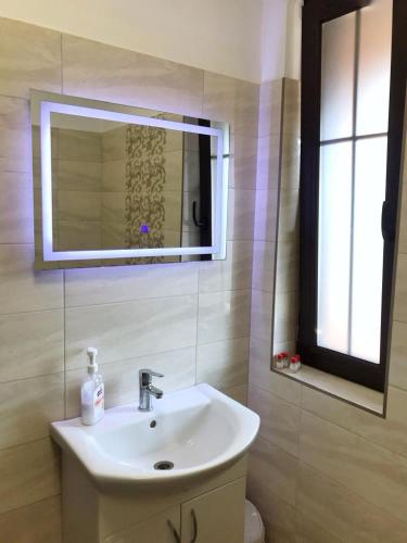 a bathroom with a sink and a mirror at Pensiunea ARMONIA in Văleni