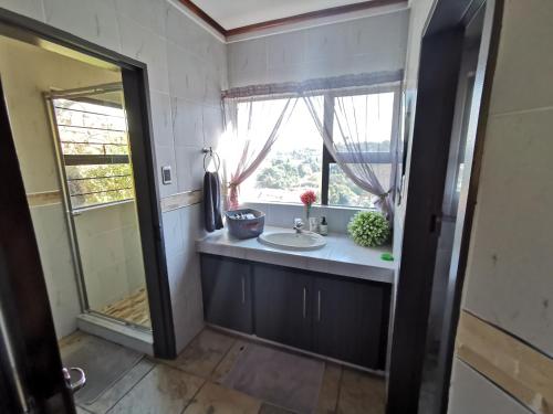 a bathroom with a sink and a window at Manor on the Hill in Krugersdorp