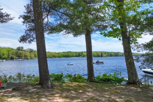 Pines Cottage – Photos 5