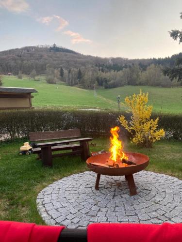 a fire pit with a picnic table and a bench at Wanderhotel Sonnebergbaude in Waltersdorf