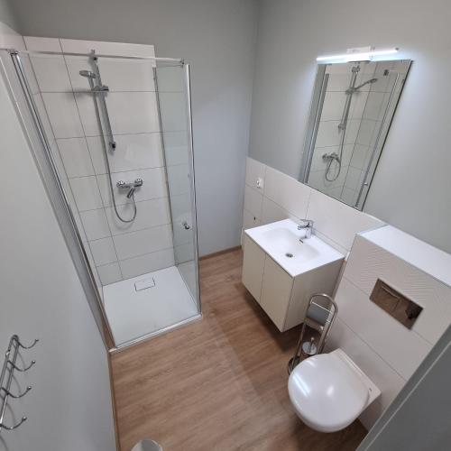 a bathroom with a shower and a toilet and a sink at Apartamenty Boczna 3B z sauną i balią in Kudowa-Zdrój