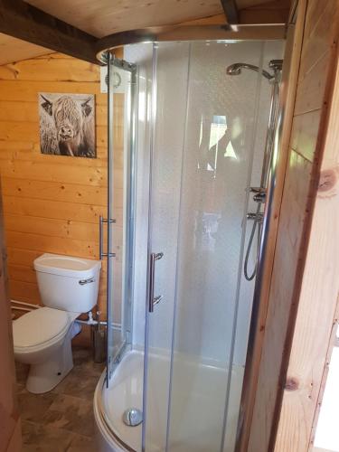 a bathroom with a toilet and a glass shower at Country Bumpkin - Romantic Couples stay in Oakhill Cabin in Oakhill
