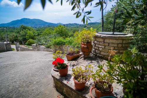 Gallery image of Elena House - family cottage Corfiot country in Agios Georgios