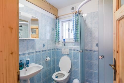 y baño con aseo, lavabo y ducha. en Apartmán mezi stromy, en Rokytnice nad Jizerou