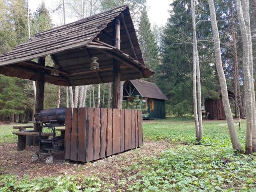 Saia Forest Houseにある庭