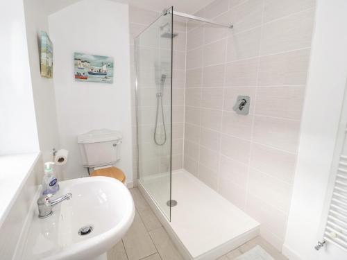 a bathroom with a shower and a toilet and a sink at 3 St Davids Place in Llandudno