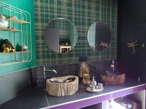 een badkamer met twee spiegels en een kat in een wastafel bij BOIS DE CHENES HOUSE in Phalsbourg